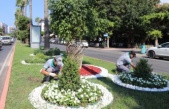 Alanya Belediyesi’nden yeşil alanlara yoğun mesai!