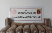 Alanya'da kaçak tütün operasyonu: 72 kilo tütün ele geçirildi!