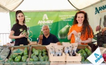 4. Alanya Tropikal Meyve Festivali başlıyor