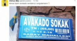 Alanya Bey'inden kahkahaya boğan tweetler