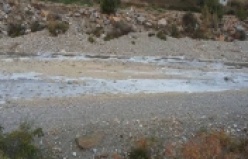 SEDRE ÇAYI BÖYLE DONDU