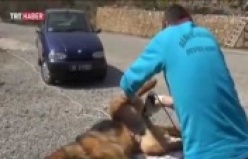 Alanya Belediyesi'nin hizmetleri TRT'ye konu oldu