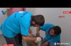 Alanya Belediyesi Türkiye'ye örnek oluyor