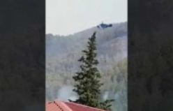 Alanya'da panik dolu anlar: Yangın evlere sıçrıyor