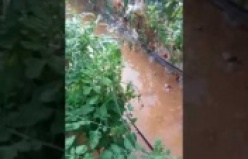 Alanya'da seraları su bastı! 