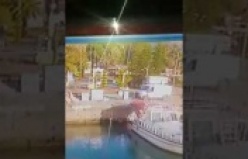 İşte Alanya'daki köpeğin çalınma anları