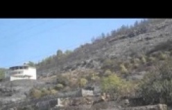 İşte Aydap'ta çıkan yangının görüntüleri