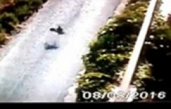 ALANYA'DA KARTAL YILANI BÖYLE AVLADI