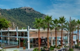 Occo Beach işgalcisine haraç suçlaması
