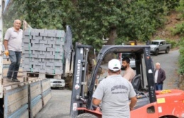 Gazipaşa Belediyesi asfalt çalışmalarına devam ediyor!