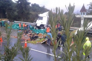 Alanya'da sebze ve meyve yüklü araç devrildi