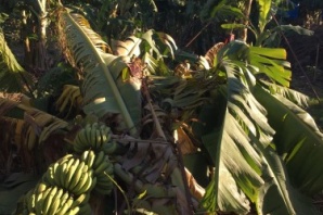 Fırtınalı gecenin ardından Alanya manzaraları