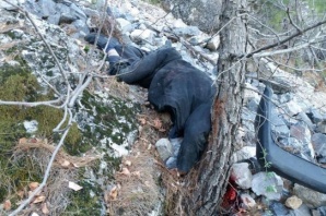 Kuşyuvası'ndaki kazadan çarpıcı kareler