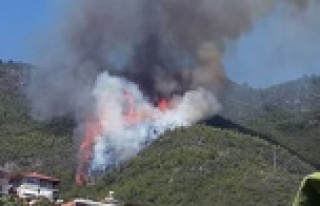 ALANYA YANIYOR, YERLEŞİM YERLERİ TEHLİKE ALTINDA