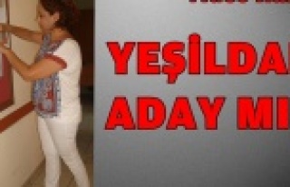 CHP'DE DELEGE BAŞVURULARI BAŞLADI