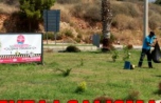 DAHA YEŞİL BİR ALANYA İÇİN