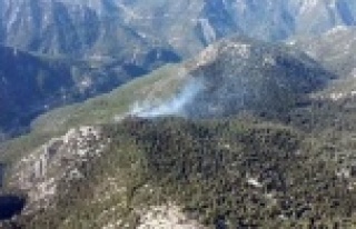 EKİPLER YANGINA YÜRÜYEREK MÜDAHALE ETTİ