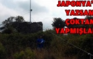 MUHTARIN İSYANI: İNEKLER OTLUYOR