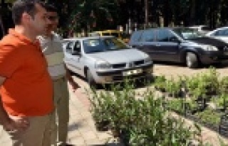 ALANYA BELEDİYESİ'NDEN SÜRÜCÜLERE MÜJDE