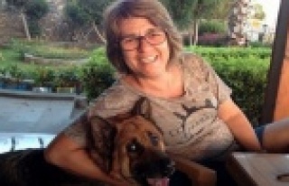 'BUNLARIN AMACI AKP'Yİ TEK BAŞINA İKTİDAR...