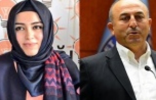 ÇAVUŞOĞLU MU, ÇELİK Mİ?