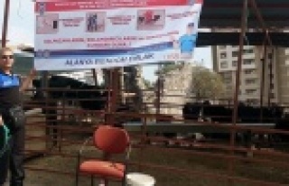 CELEPLERE AFİŞLİ KALPAZAN UYARISI