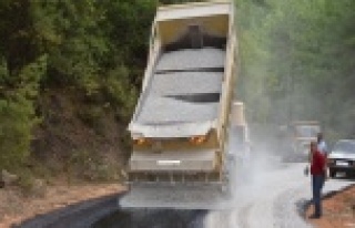 DİM VADİSİNDE MUTLU SON