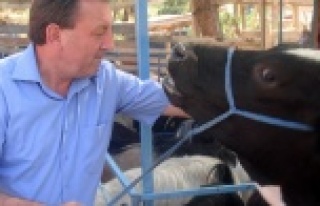 'KURBAN ALIRKEN DİKKAT EDİN'