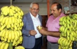 AYDIN ALANYA'DAN DESTEK İSTEDİ