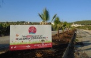 ALANYA BELEDİYESİ'NDEN REFÜJ DÜZENLEMESİ