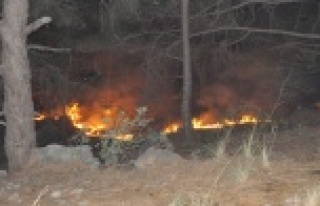 ALANYA KALESİ'NDE 5 DÖNÜM KÜL OLDU