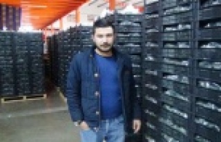 RUSYA KRİZİ ÜRETİCİYİ FENA VURDU