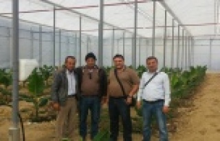 MUZ ÜRETİCİLERİ MANAVGAT’A YÖNELDİ