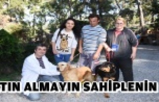 ONLAR ARTIK SAHİPSİZ DEĞİL