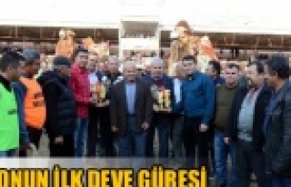 SEZONUN İLK DEVE GÜREŞİ