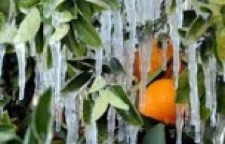 ÜRETİCİLER DİKKAT!