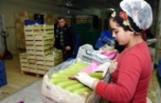 VATANDAŞ DÜŞECEK DİYE BEKLERKEN PAZARDA FİYATLAR...