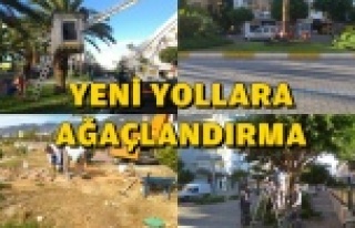 YENİ YOLLARA AĞAÇ DİKİMİ BAŞLADI