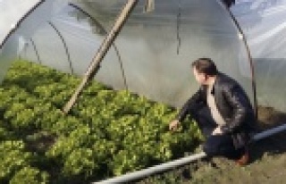 'ALINAN TEDBİRLER SAYESİNDE CİDDİ KAYBIMIZ...