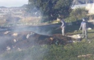 SİNEKLE MÜCADELE DEVAM EDİYOR