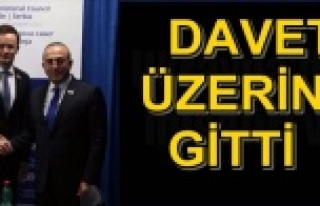 ÇAVUŞOĞLU MACARİSTAN'DA