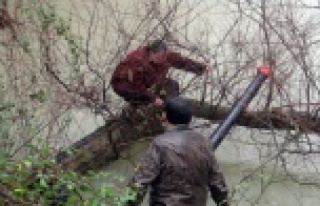 İNTİHARDAN BÖYLE KURTULDU