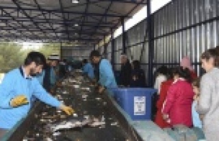 ÖĞRENCİLER GERİ DÖNÜŞÜM TESİSİNİ İNCELEDİLER