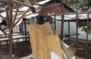 PAŞANIN KAFESİ BAKIMA MUHTAÇ