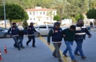 SAHTE DOLARLA YAKALANDILAR