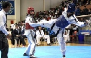 TAEKWONDO COŞKUSU DEVAM EDİYOR