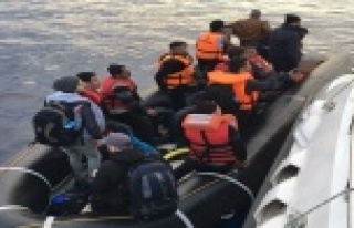 15 KAÇAK GÖÇMEN YAKALANDI