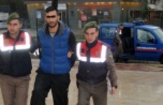 CEZAEVİNDEN KAÇAN İKİ KARDEŞ YAKALANDI