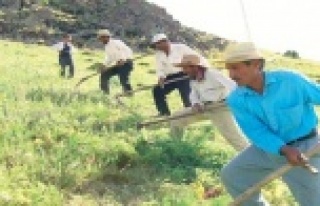 ÇİFTÇİ YAĞMUR İÇİN DUA ETTİ