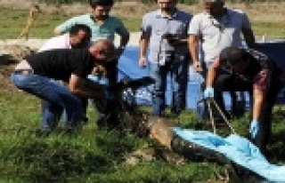 İŞTE O CİNAYETİN SEBEBİ ORTAYA ÇIKTI